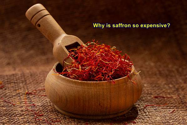 why is saffron so expensive